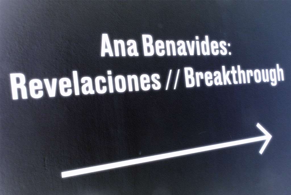 Artist: Ana Paula García Benavides