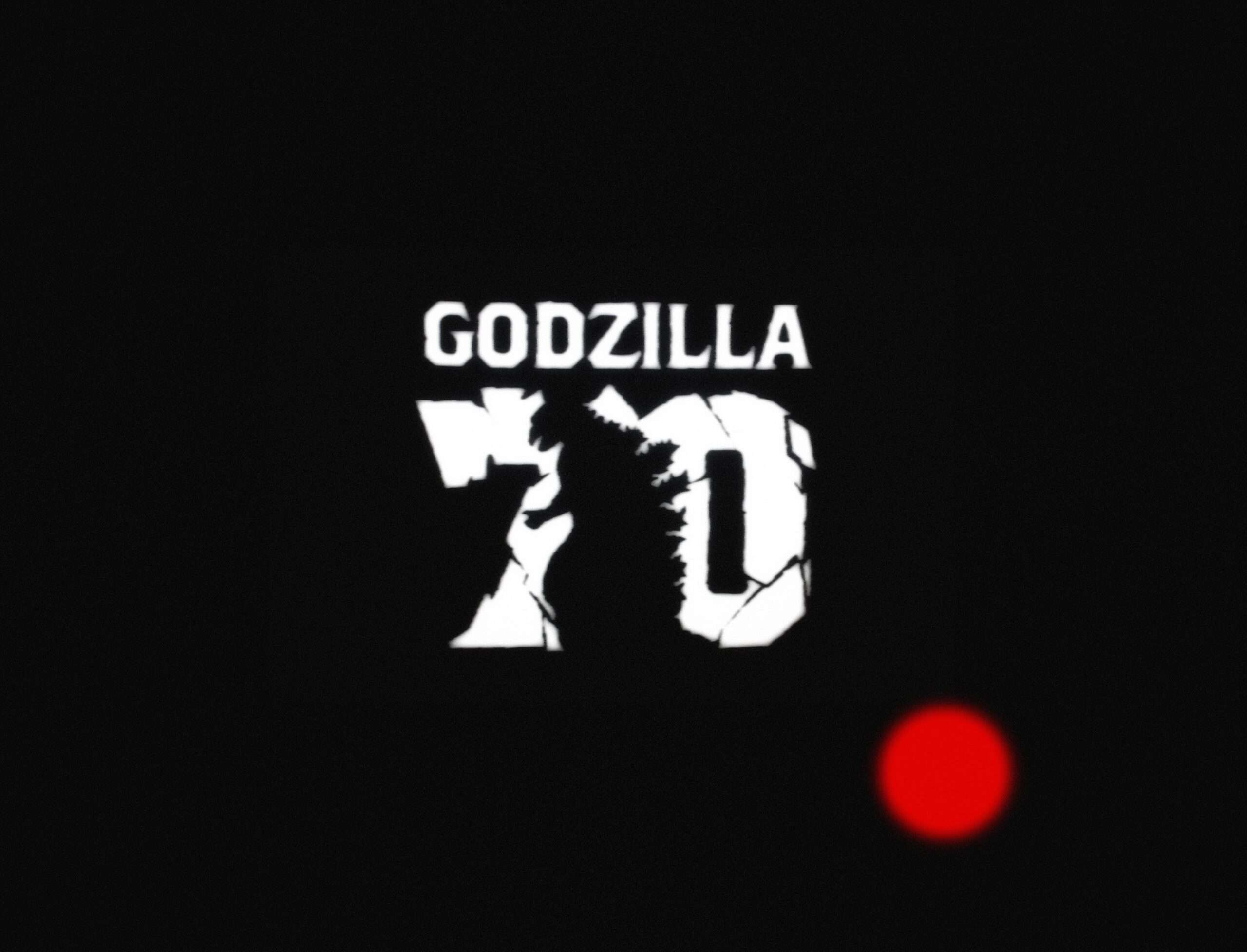 18TH MAY 2025 Zdravo 4me4you