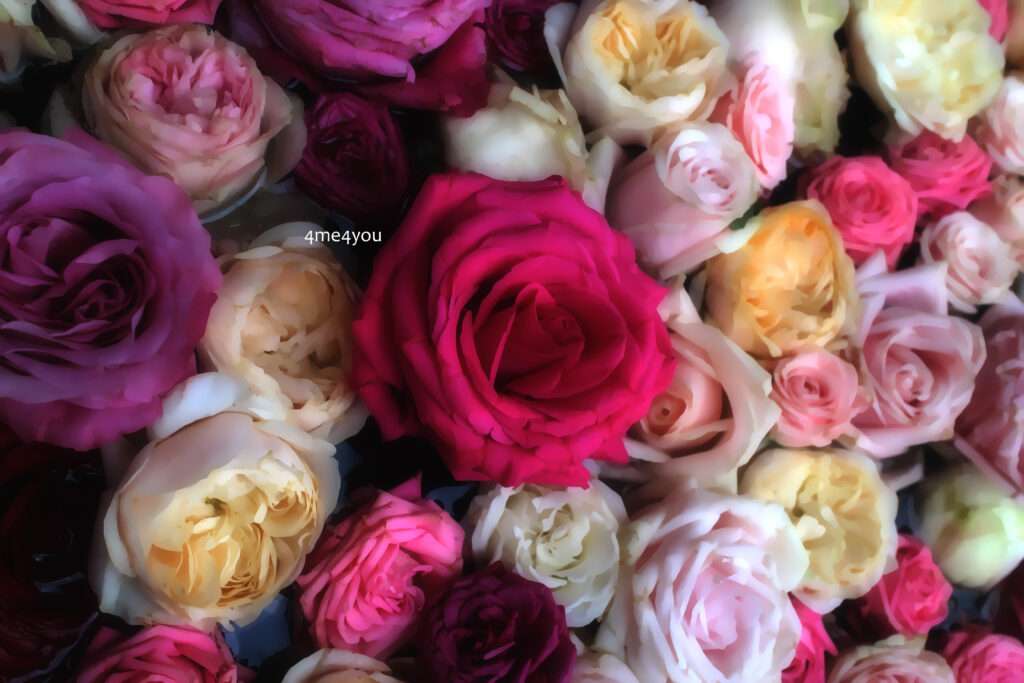 ..It’s November 2025..