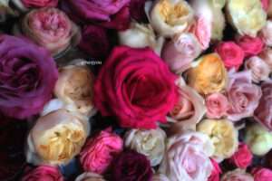 ..It’s November 2025..