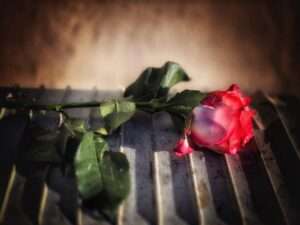 6TH NOVEMBER 2025 Guten Tag 4me4you